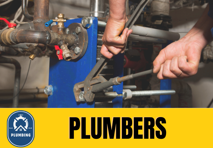  plumber Chelsfield